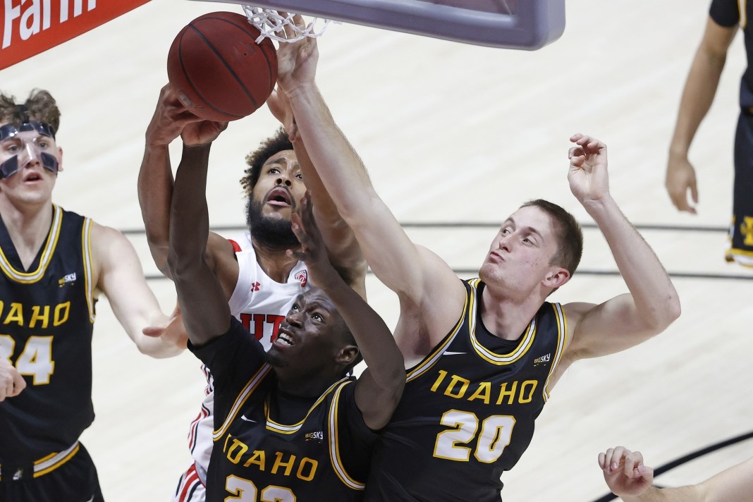 idaho basketball