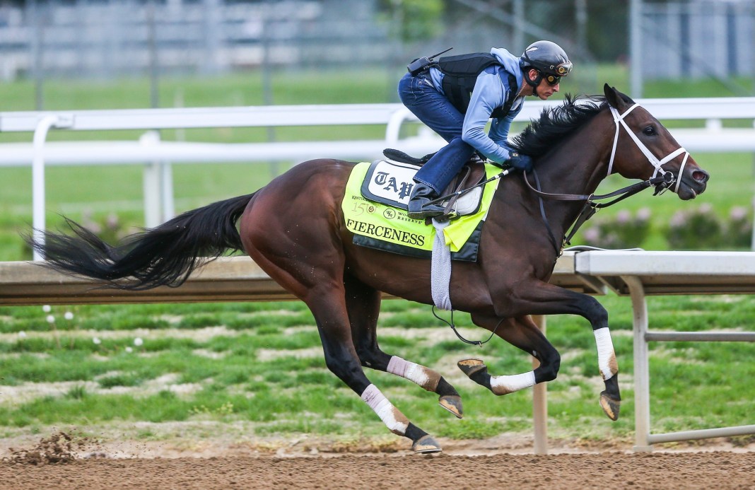 Kentucky Derby favorite Fierceness