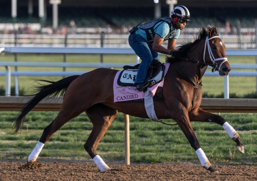 candied race horse in the alabama stakes