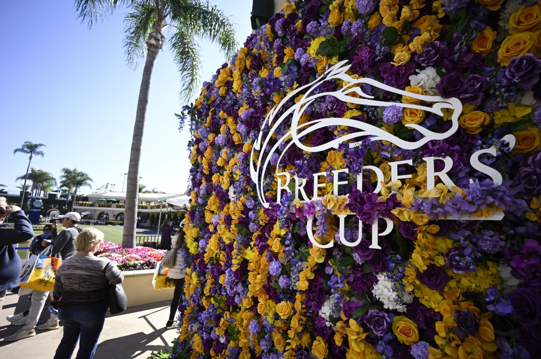 breeders cup classic picks