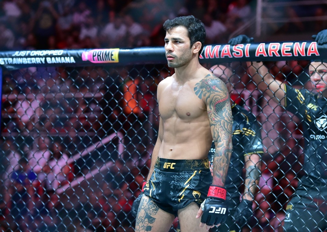 Alexandre Pantoja fights against Steve Erceg during UFC 301 at Rio Arena